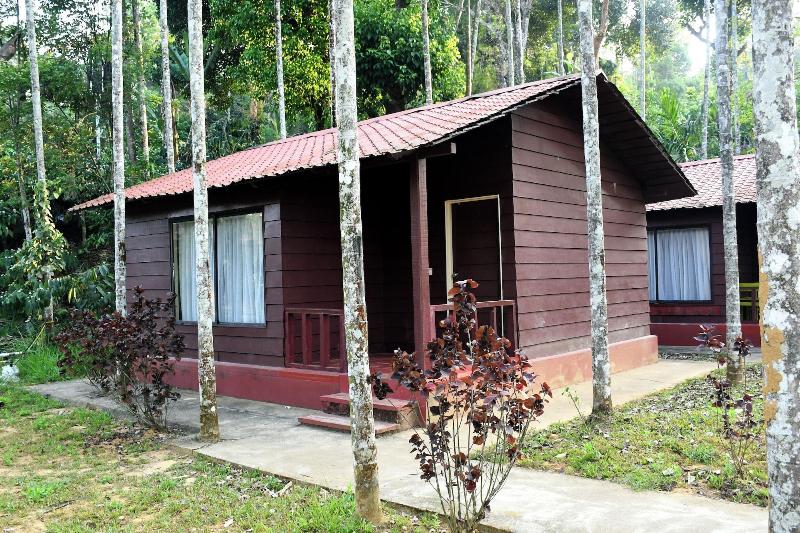 Lazo Areca Resort image