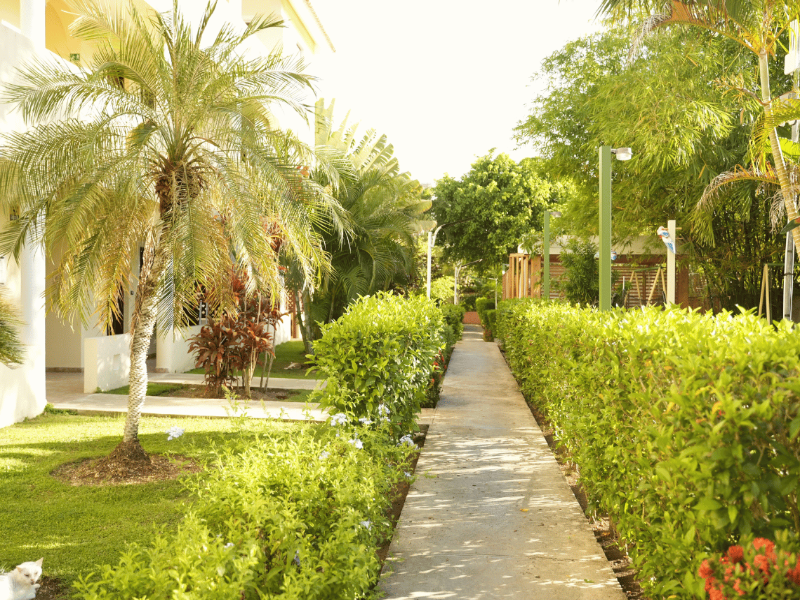 Casual Eden Bayahibe image