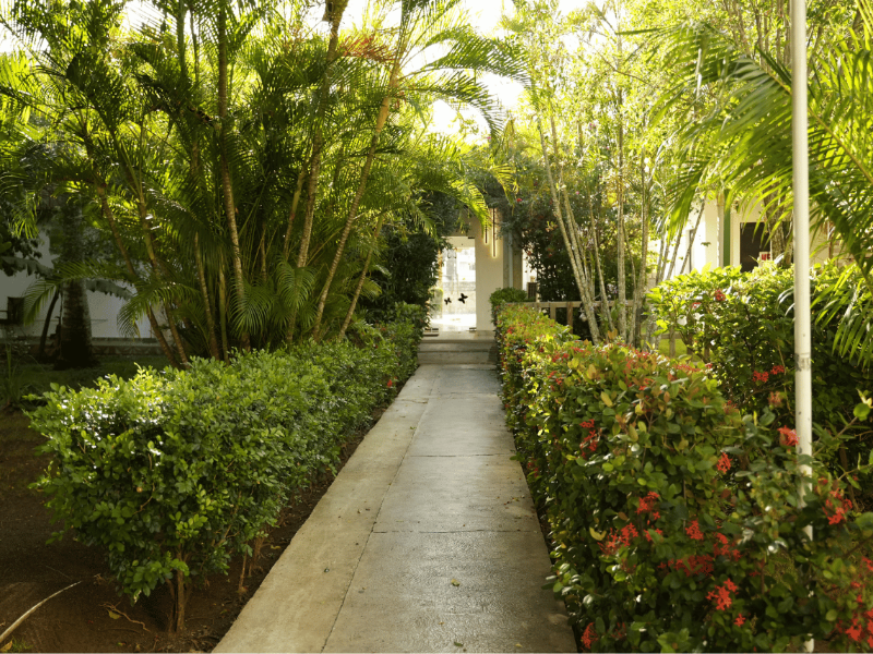 Casual Eden Bayahibe image