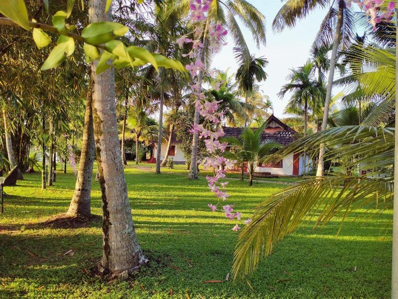 Palmgrove Lake Resort image