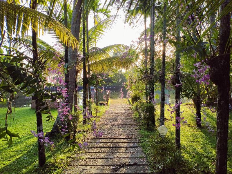 Palmgrove Lake Resort image