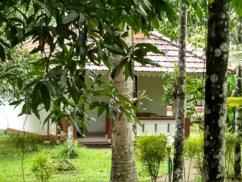 Palmgrove Lake Resort image