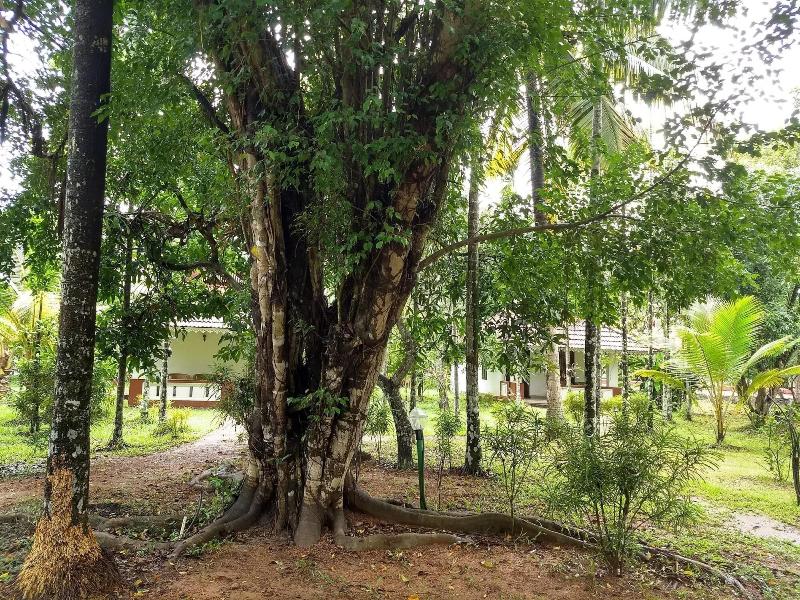 Palmgrove Lake Resort image