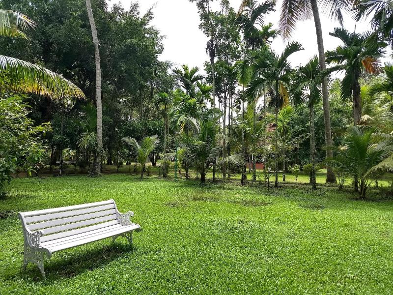 Palmgrove Lake Resort image