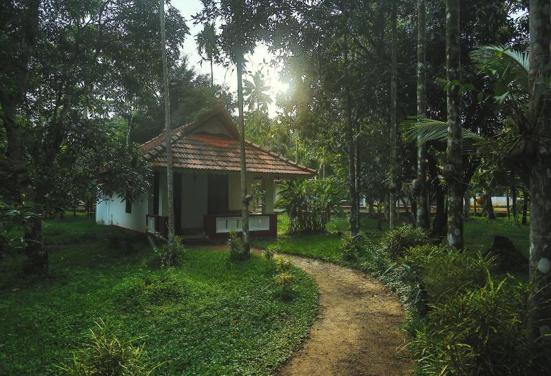 Palmgrove Lake Resort image