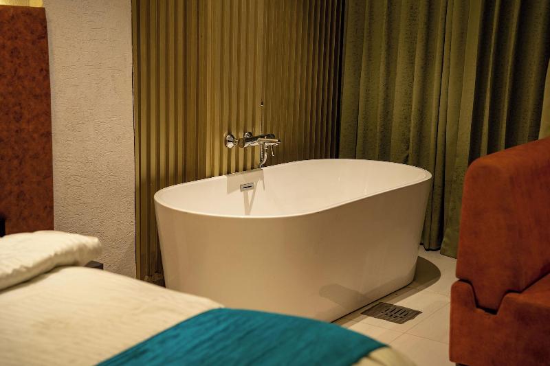 Ski Hotels And Resorts image