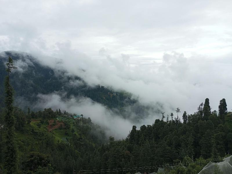 The Jungle Mountain Retreat image