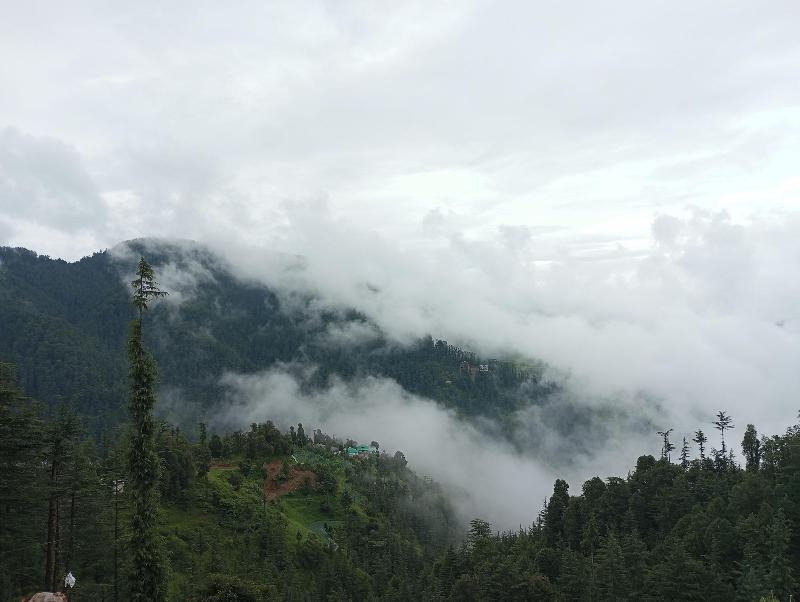 The Jungle Mountain Retreat image