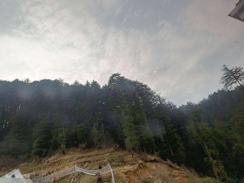 The Jungle Mountain Retreat image