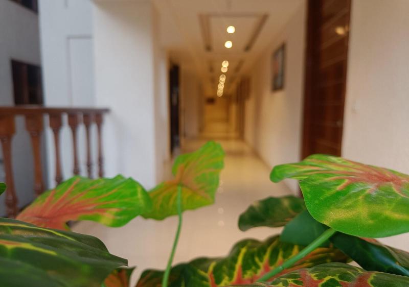 The Jungle Mountain Retreat image