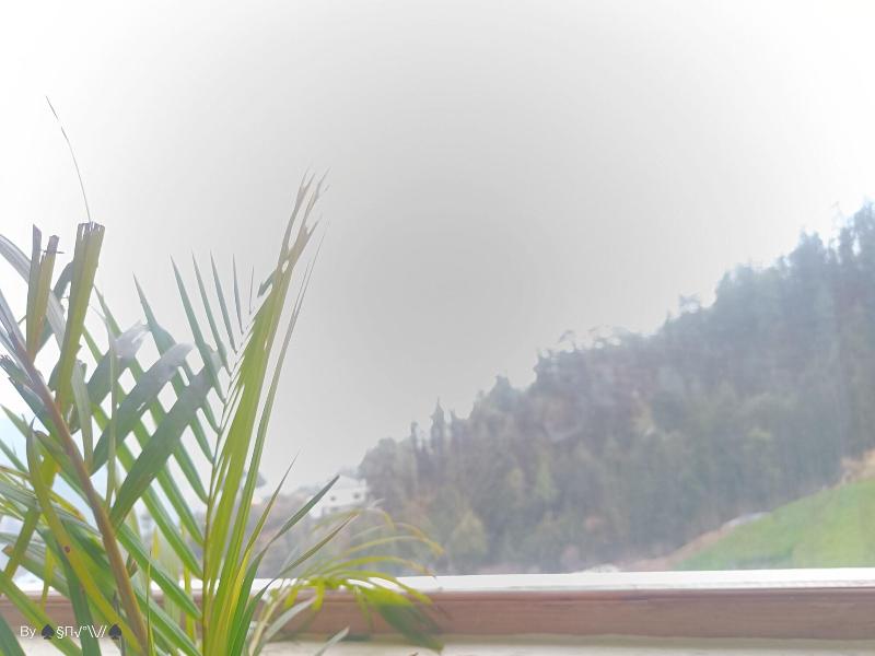 The Jungle Mountain Retreat image