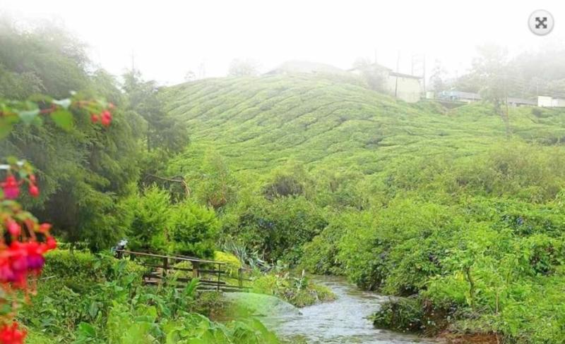 Hotel C7 Munnar image