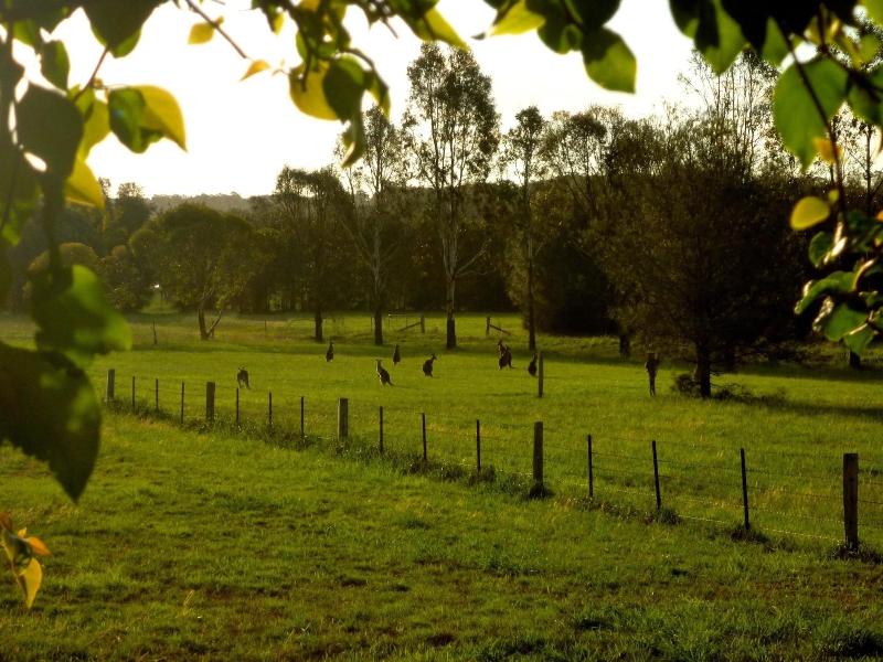 Silverpoint Estate image