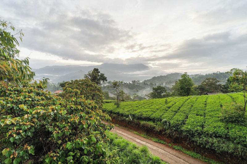 Treebo Windsong Resort Munnar — general view