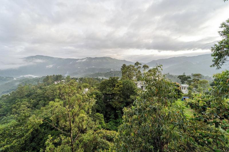 Treebo Windsong Resort Munnar image