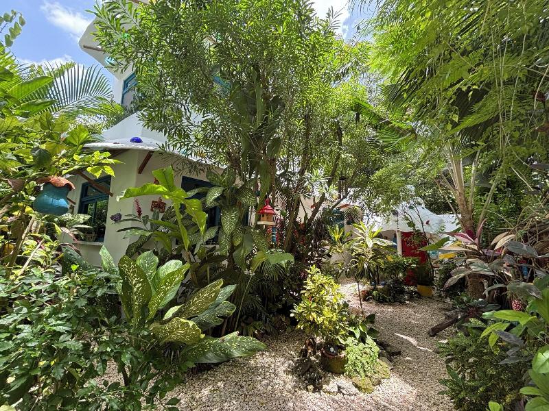 Maison Bacalar image