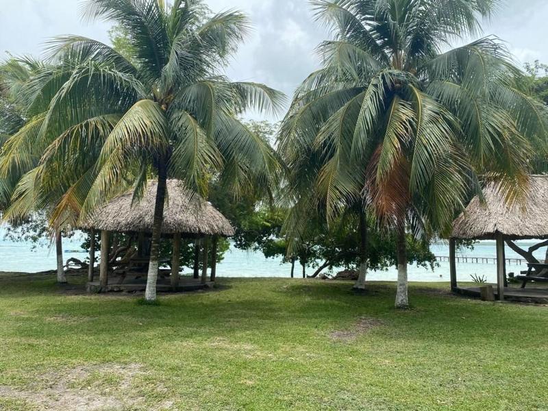 Maison Bacalar image