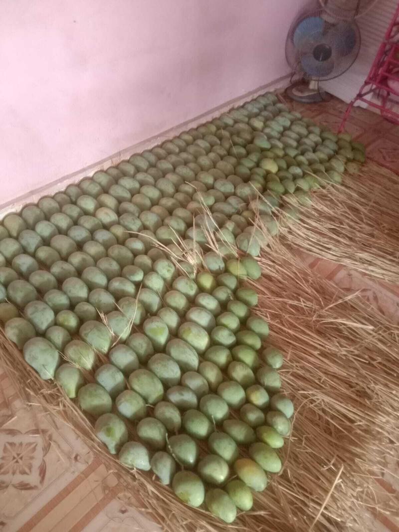 Mango Tree Farm image