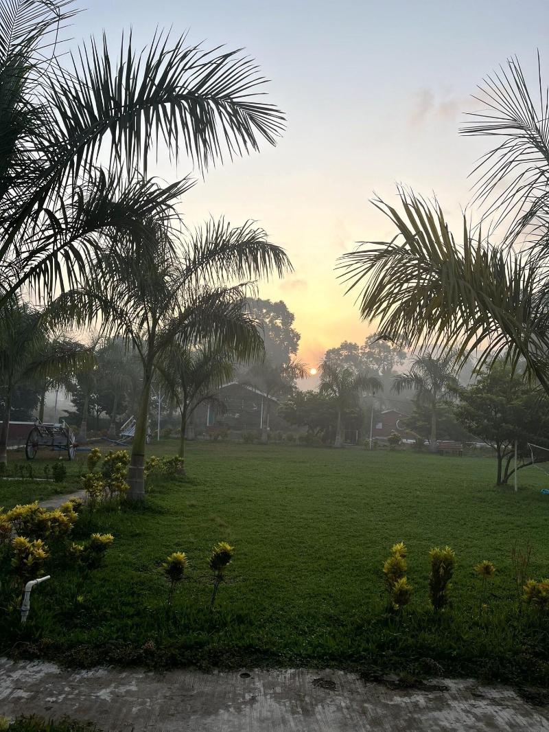 Mango Tree Farm image