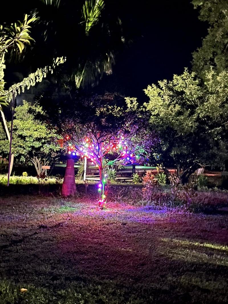 Mango Tree Farm image