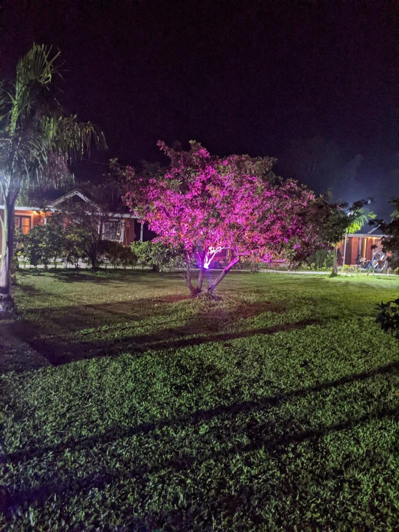 Mango Tree Farm image