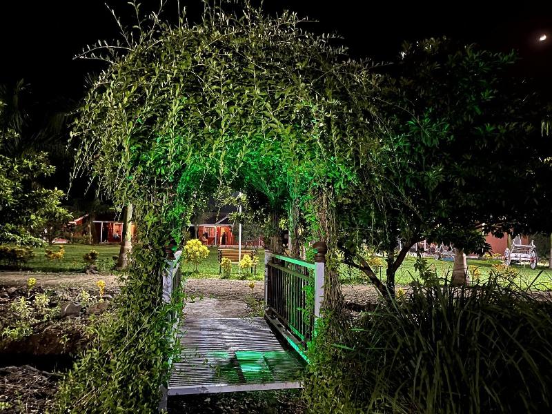 Mango Tree Farm image