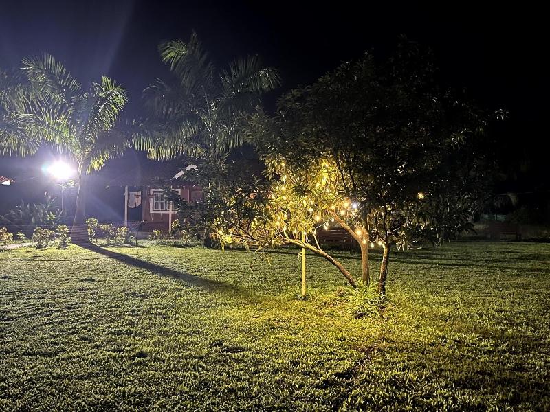 Mango Tree Farm image