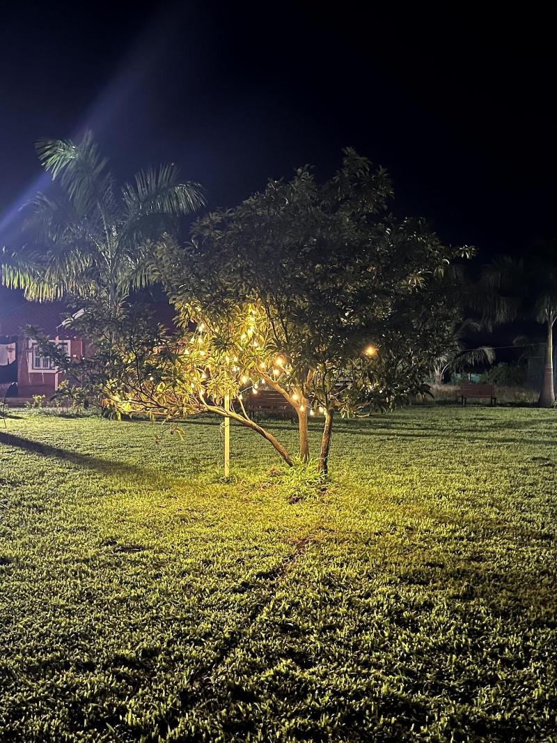 Mango Tree Farm image