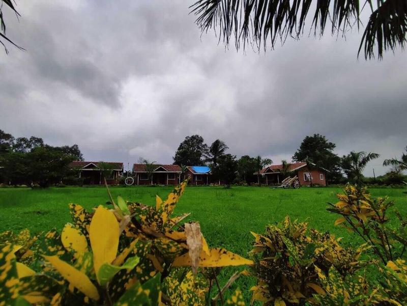 Mango Tree Farm image