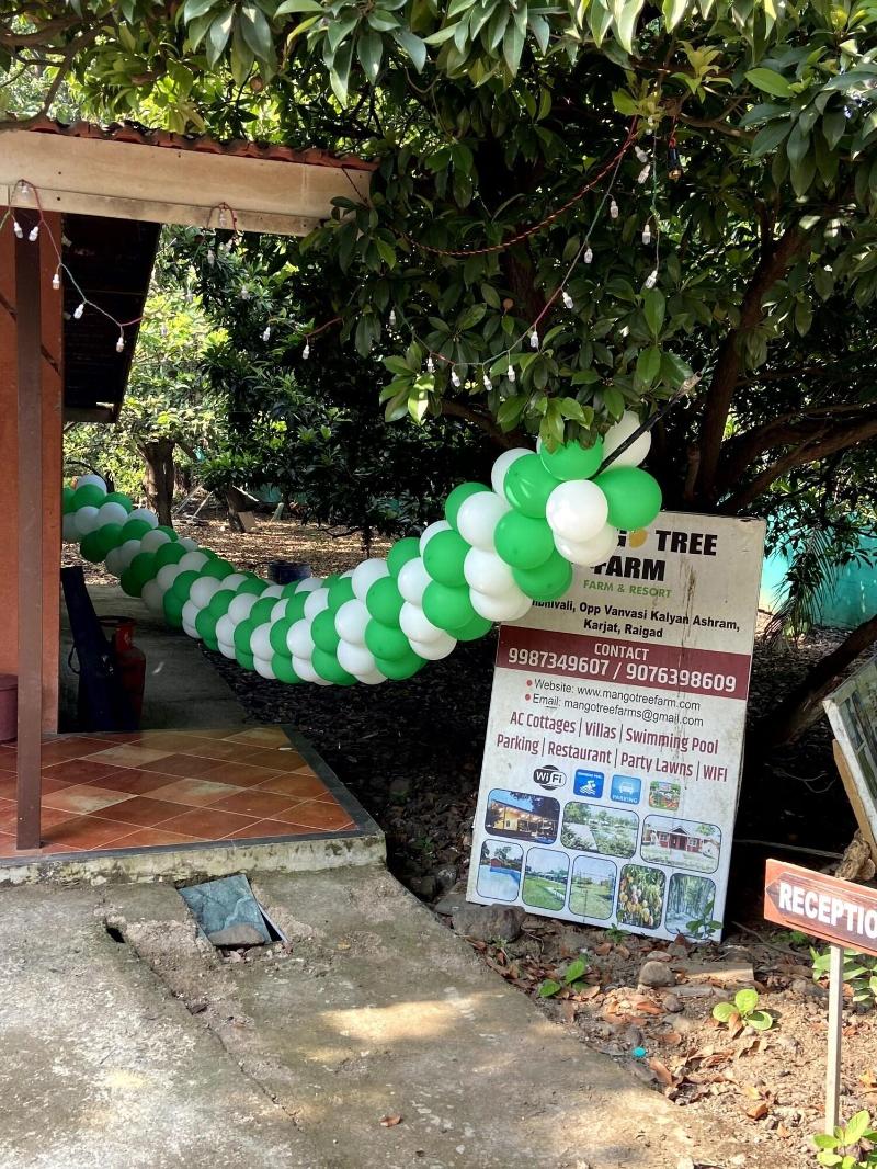 Mango Tree Farm image
