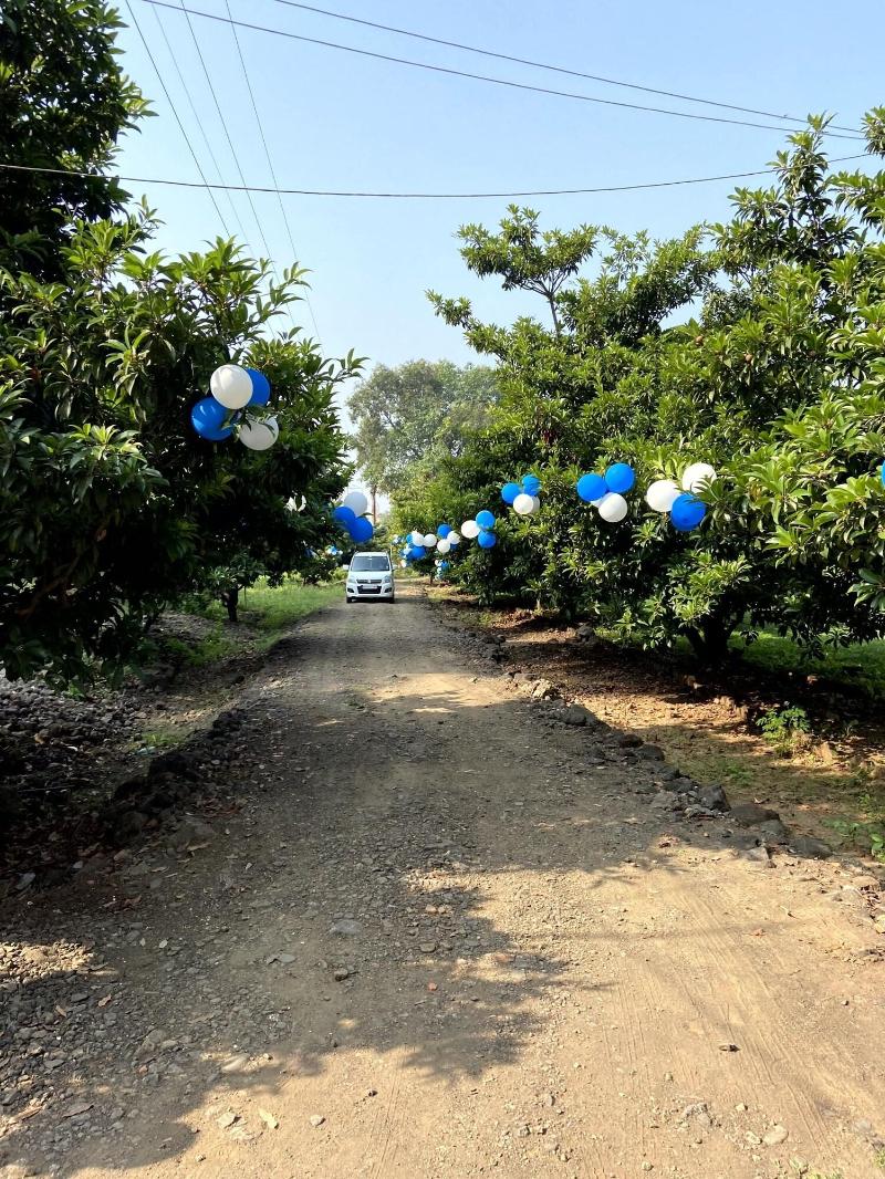 Mango Tree Farm image