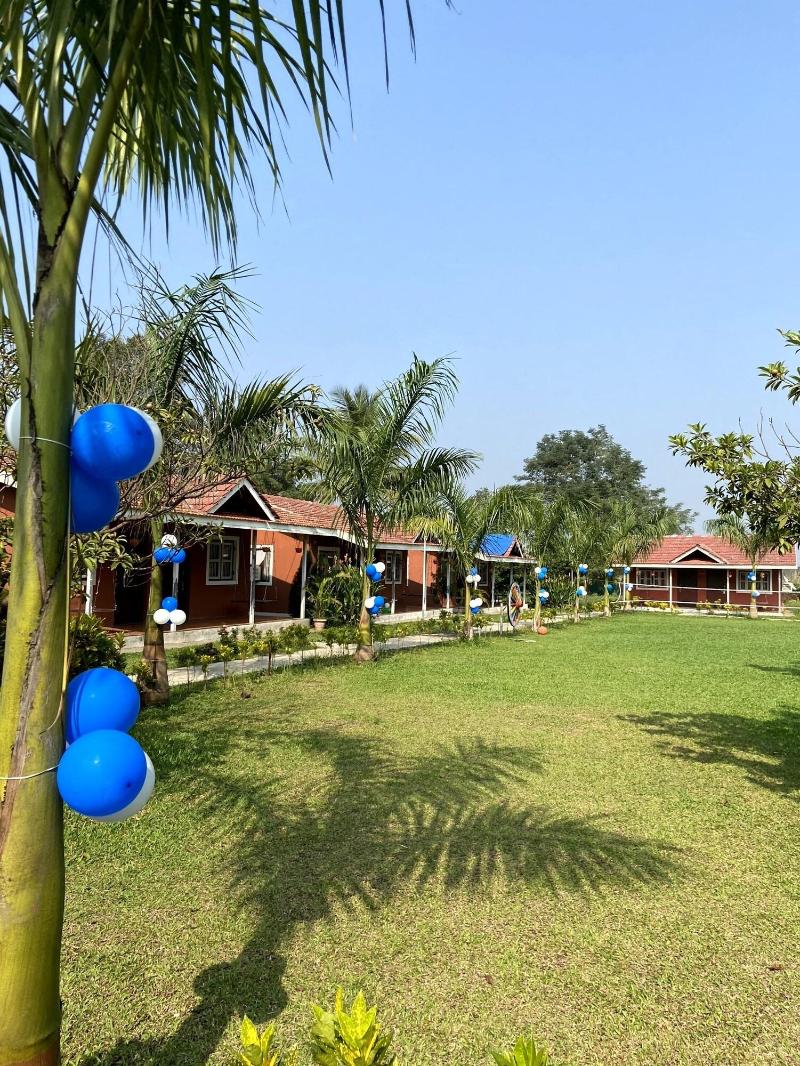 Mango Tree Farm image