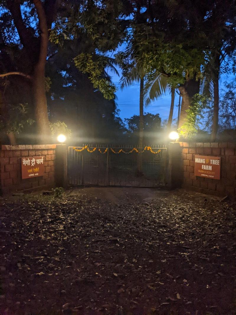 Mango Tree Farm image