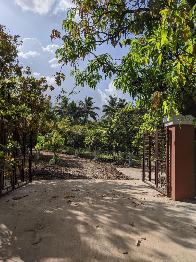 Mango Tree Farm image