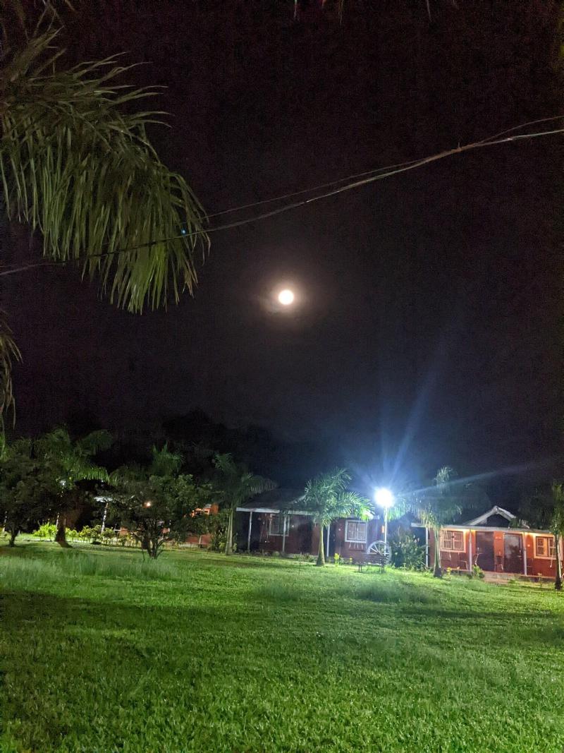 Mango Tree Farm image