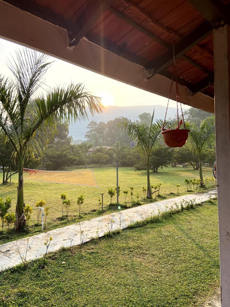 Mango Tree Farm image