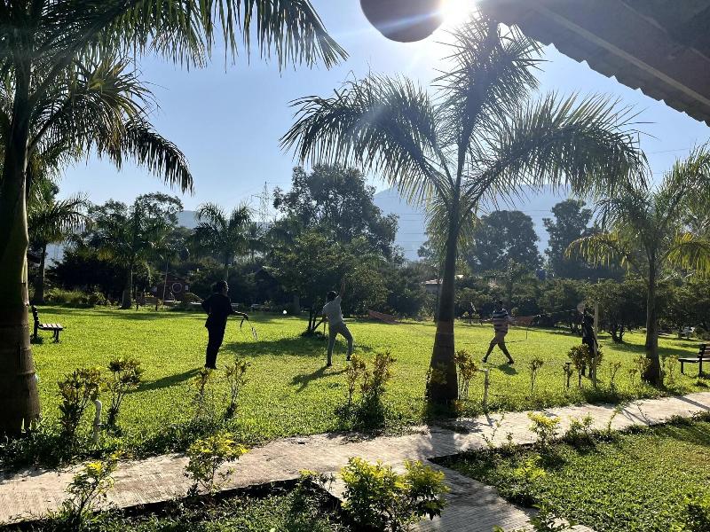 Mango Tree Farm image
