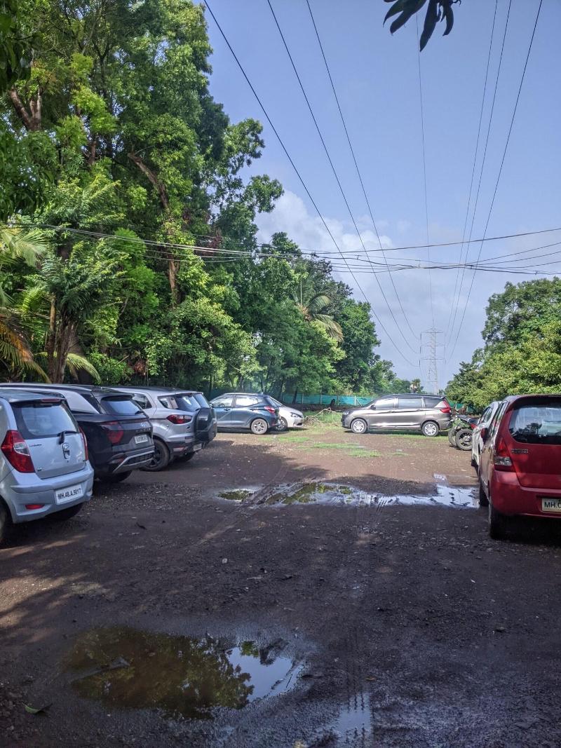 Mango Tree Farm image