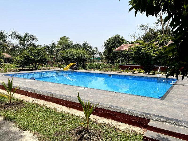 Mango Tree Farm image
