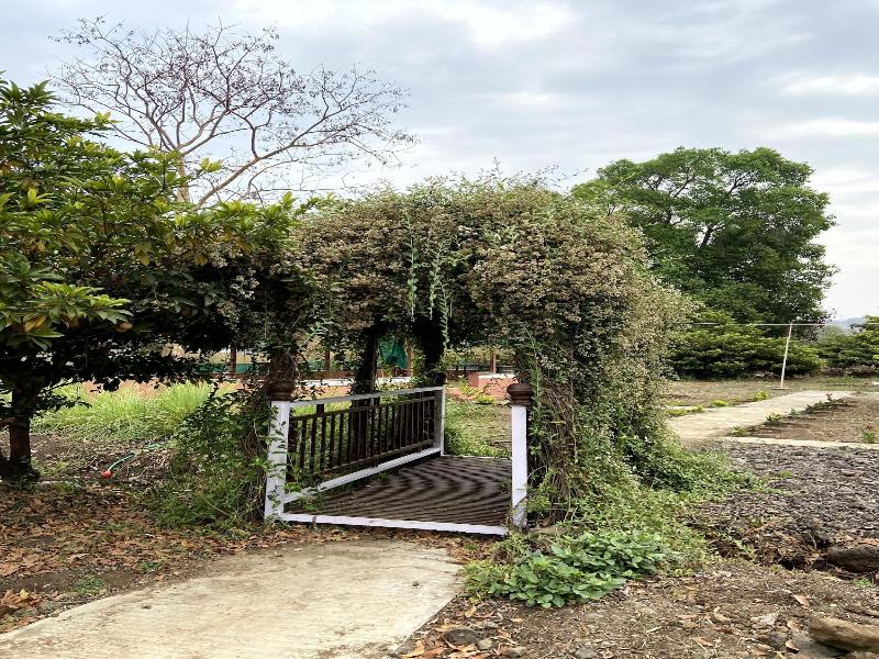 Mango Tree Farm image