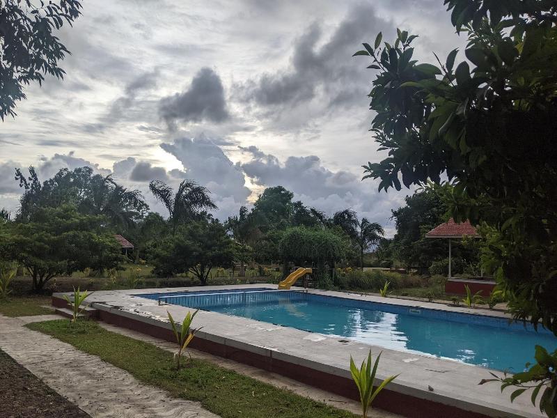 Mango Tree Farm image