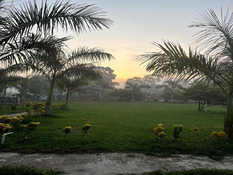 Mango Tree Farm image