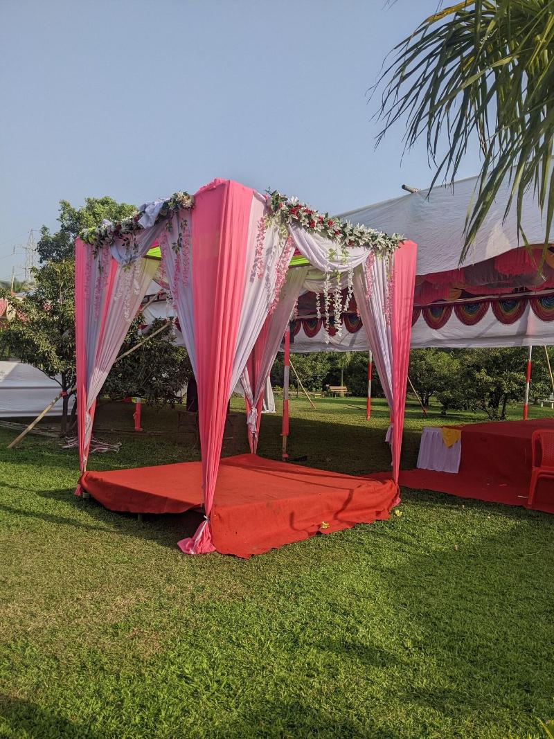 Mango Tree Farm image