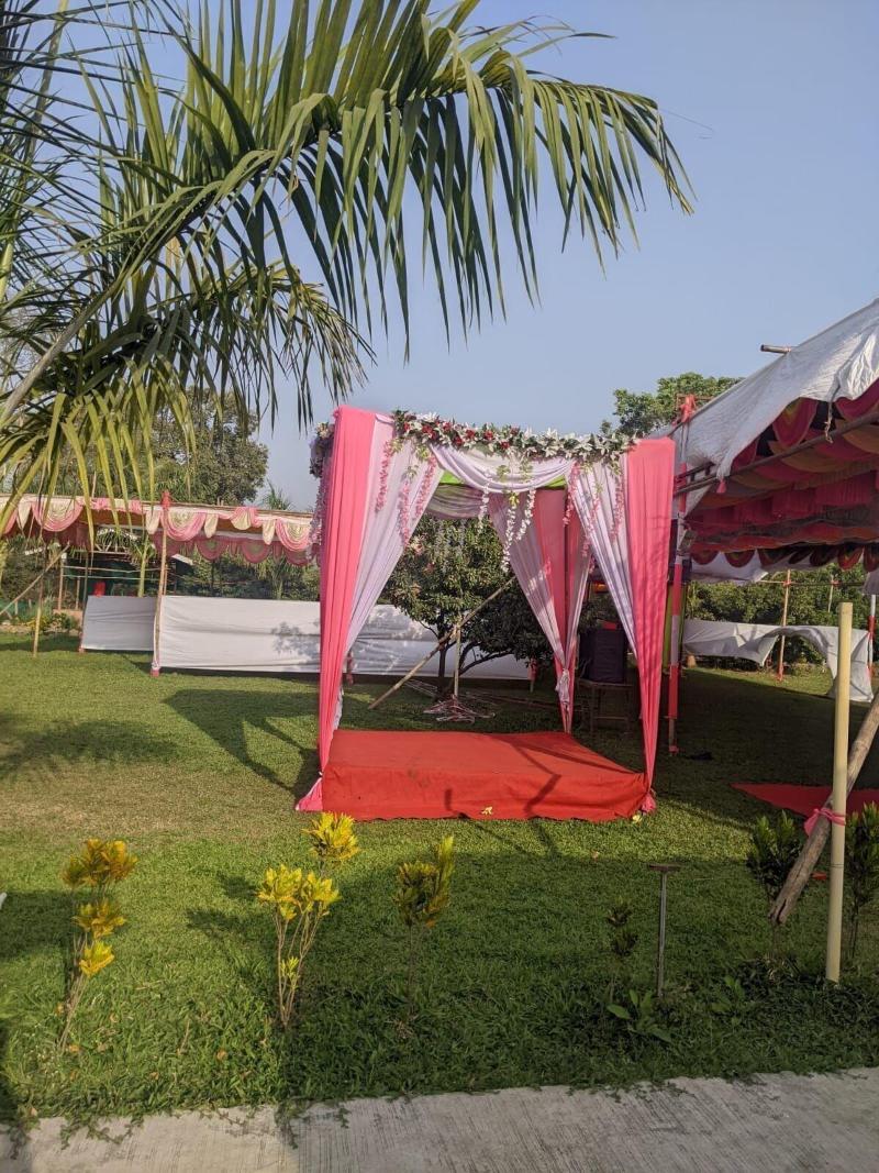 Mango Tree Farm image