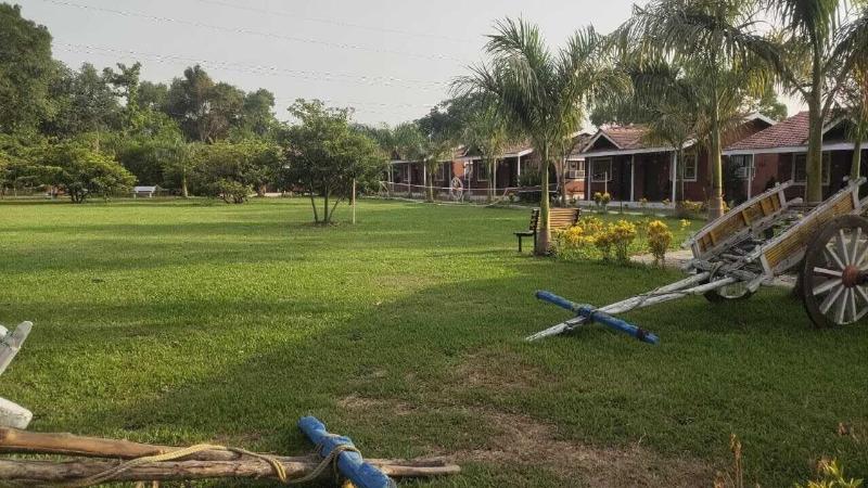 Mango Tree Farm image