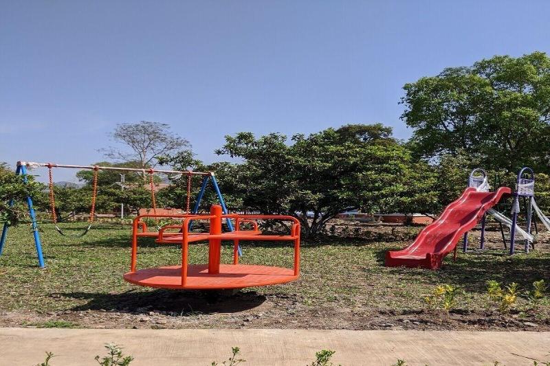 Mango Tree Farm image