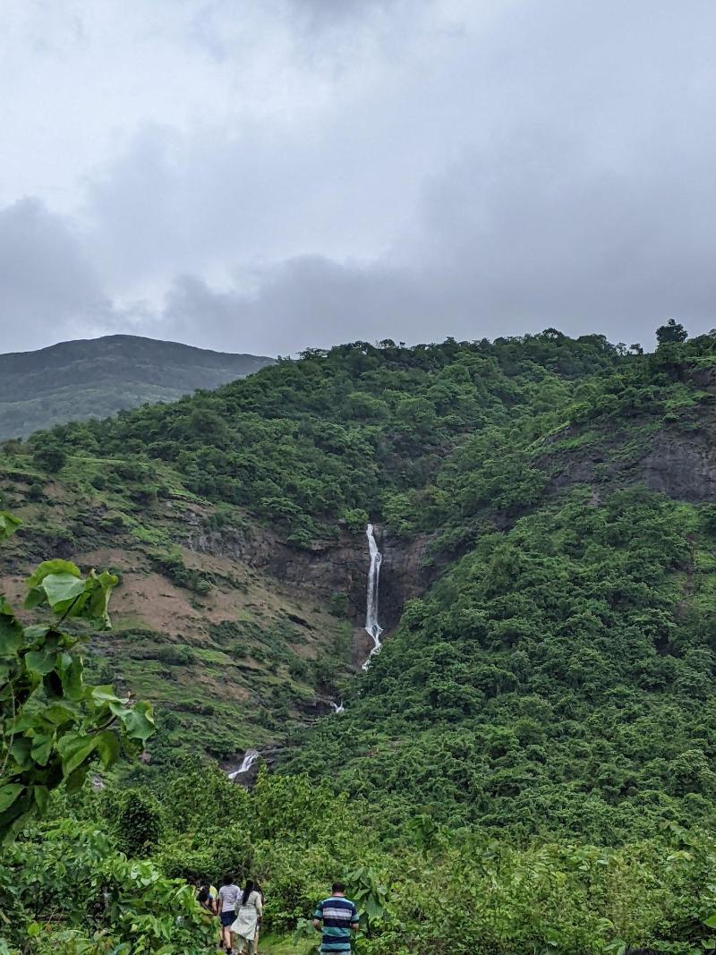Mango Tree Farm image