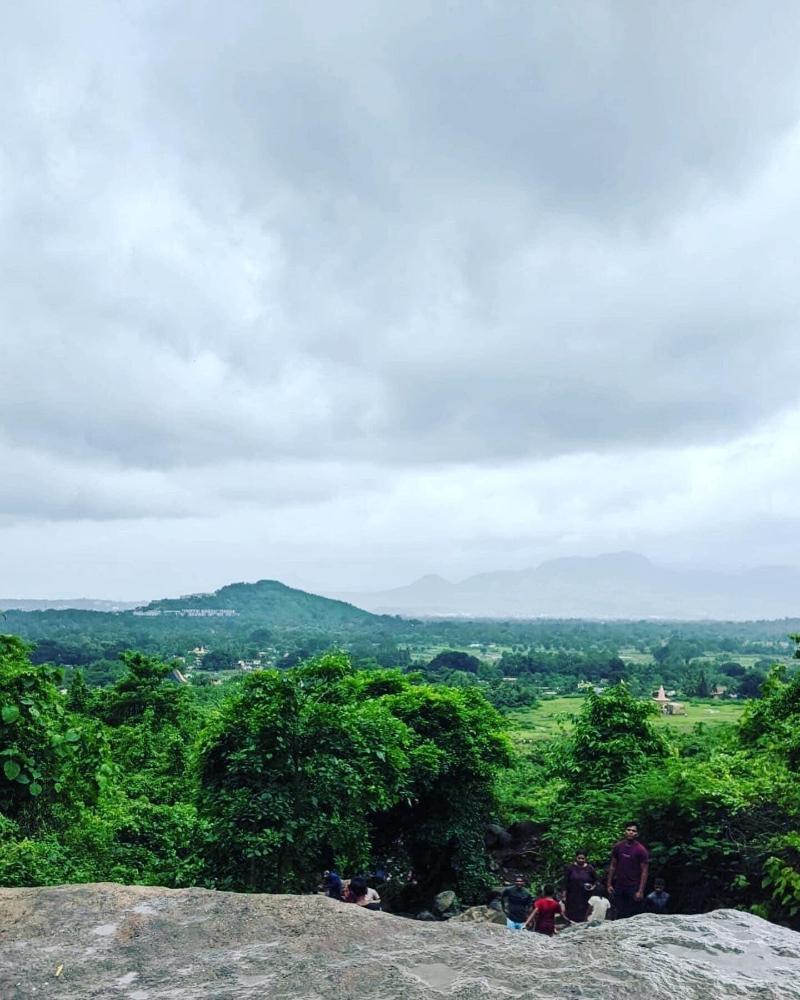 Mango Tree Farm image