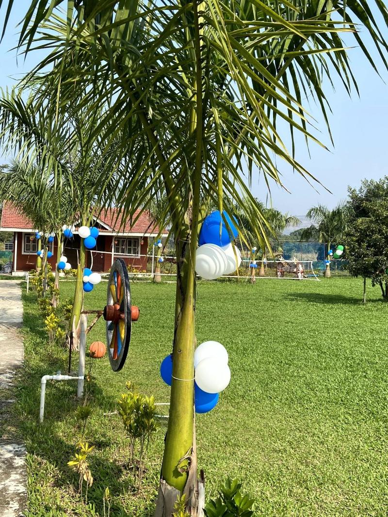 Mango Tree Farm image