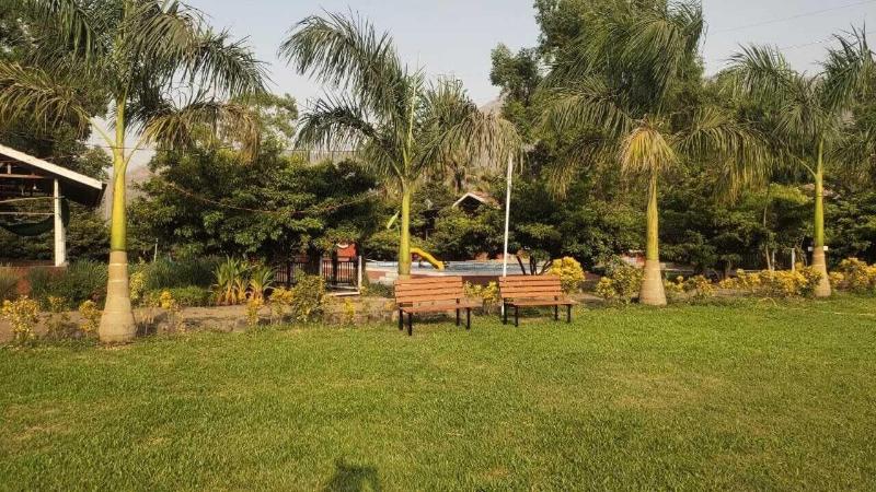 Mango Tree Farm image